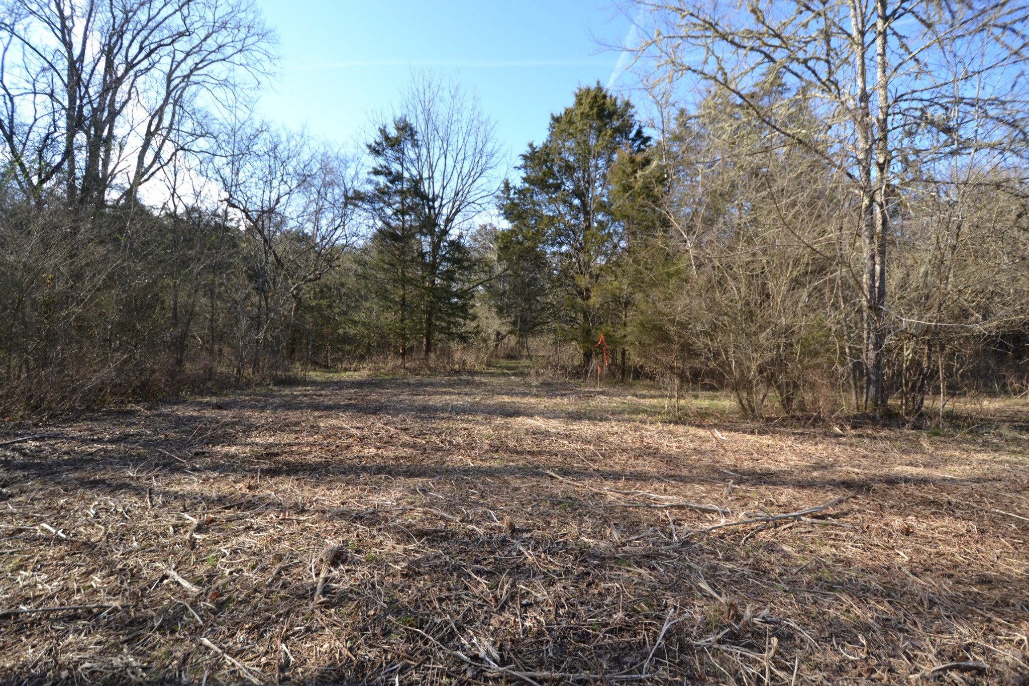 5 Chicken Road Lebanon, TN 37090 - Photo 22 of 40 Gallery Image 22