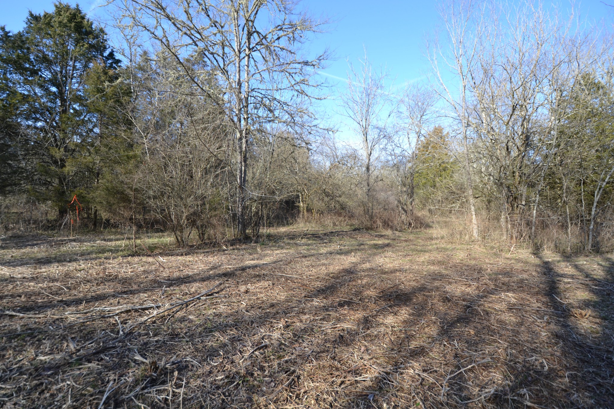 5 Chicken Road Lebanon, TN 37090 - Photo 23 of 40 Gallery Image 23