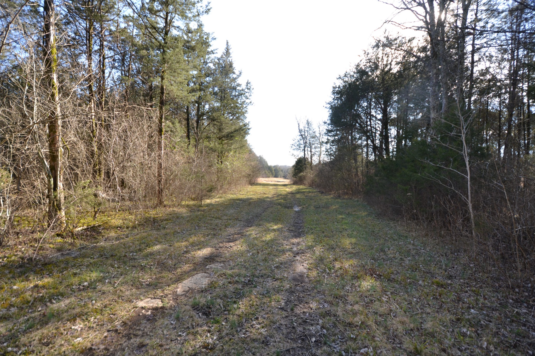 5 Chicken Road Lebanon, TN 37090 - Photo 24 of 40 Gallery Image 24