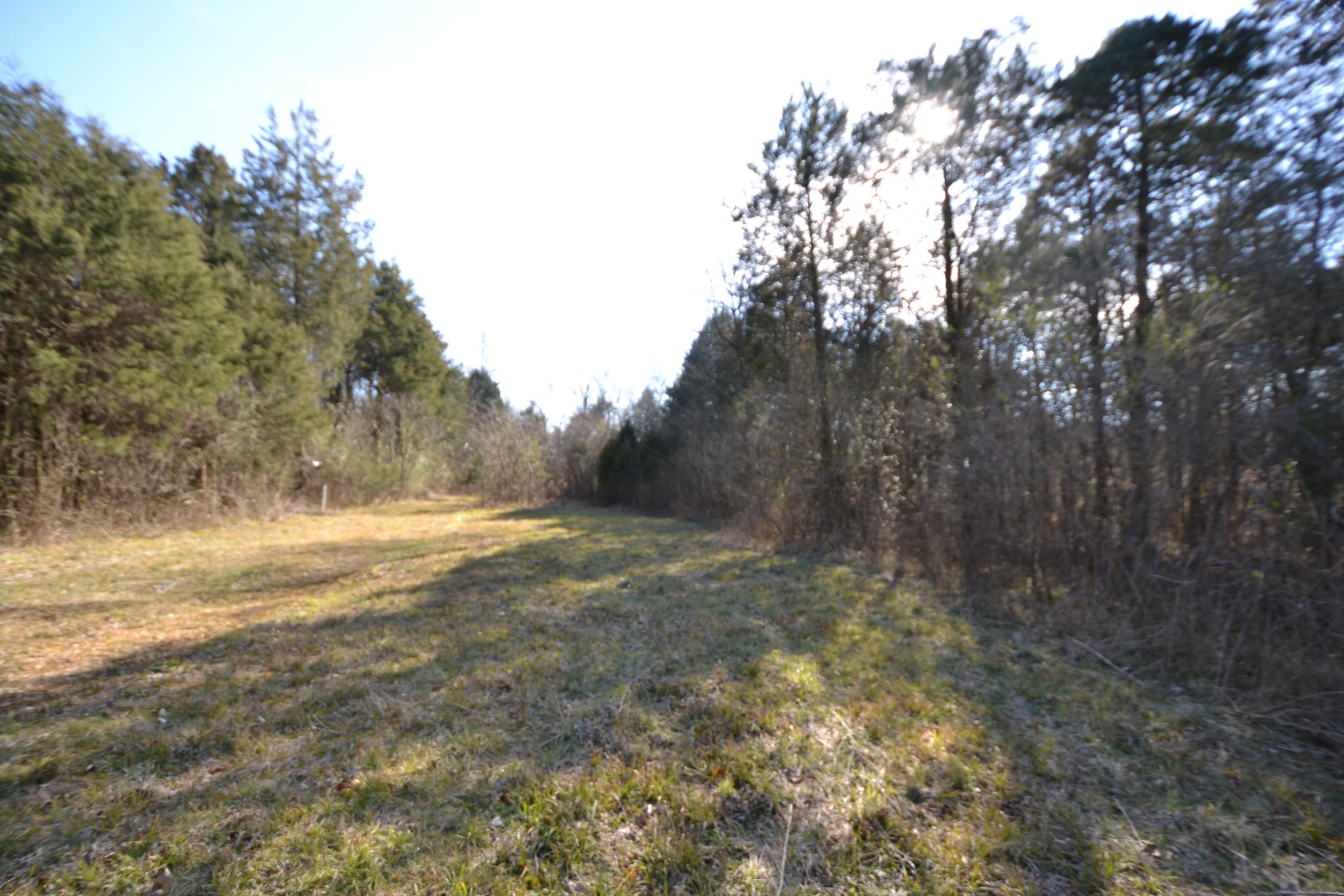 5 Chicken Road Lebanon, TN 37090 - Photo 25 of 40 Gallery Image 25