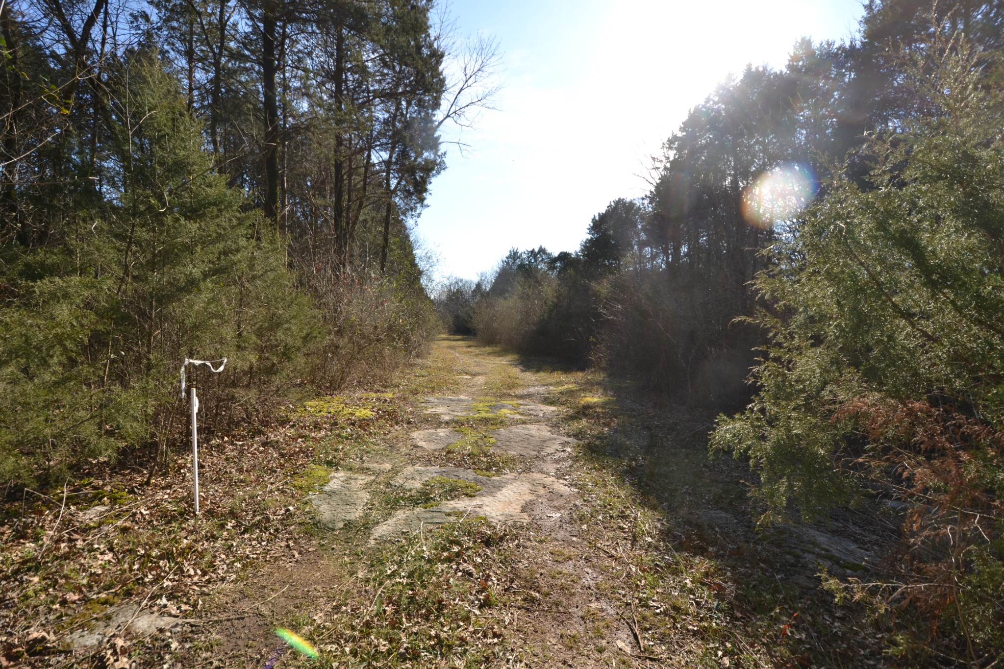 5 Chicken Road Lebanon, TN 37090 - Photo 26 of 40 Gallery Image 26