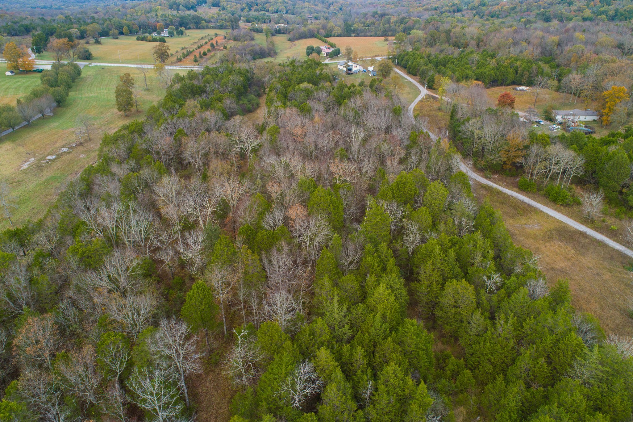 5 Chicken Road Lebanon, TN 37090 - Photo 27 of 40 Gallery Image 27