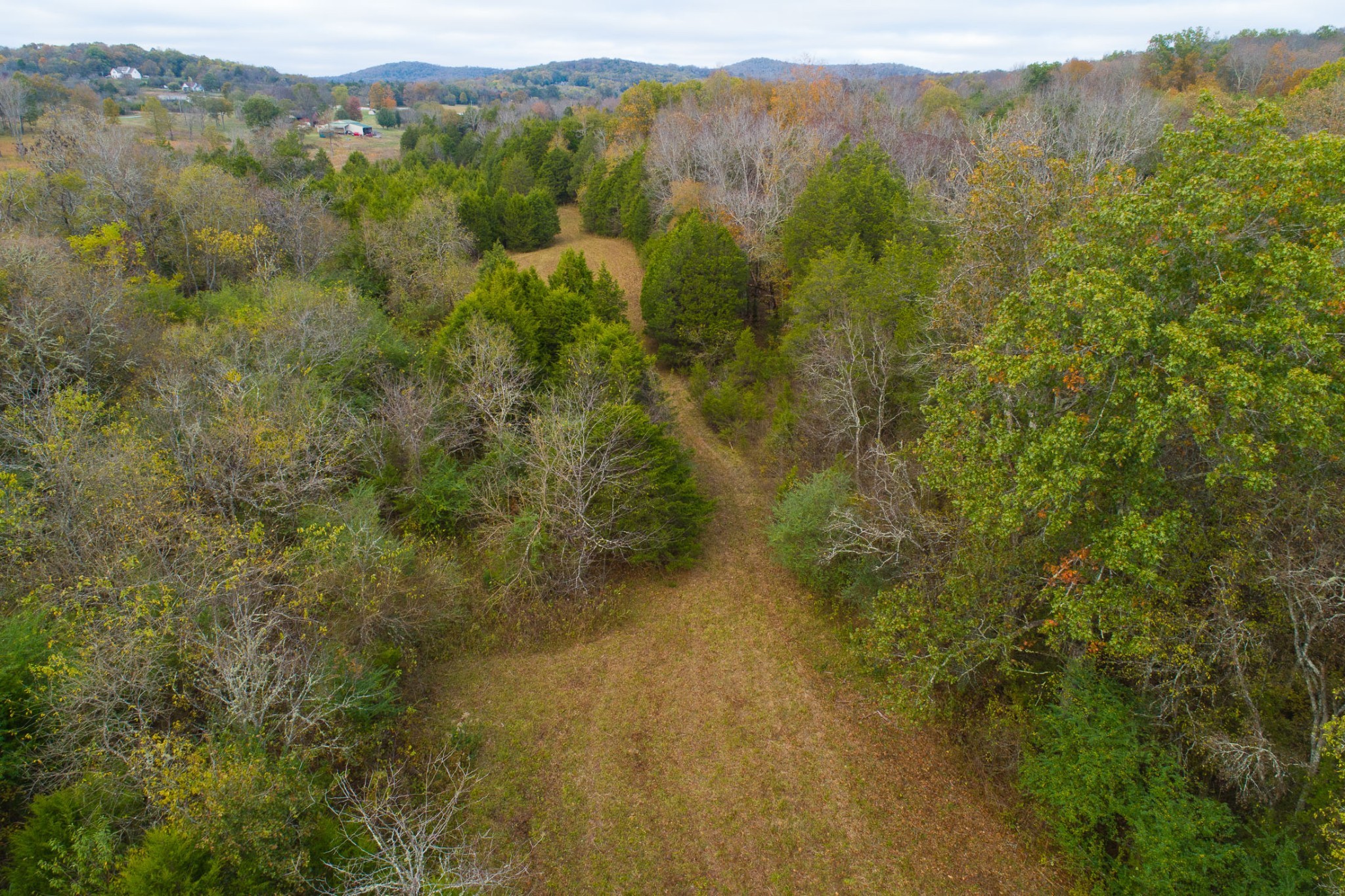 5 Chicken Road Lebanon, TN 37090 - Photo 28 of 40 Gallery Image 28