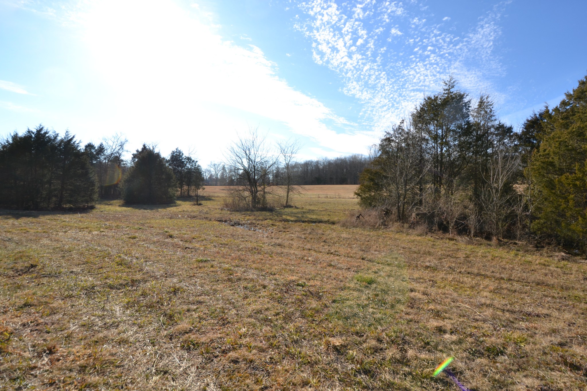 5 Chicken Road Lebanon, TN 37090 - Photo 4 of 40 Gallery Image 4