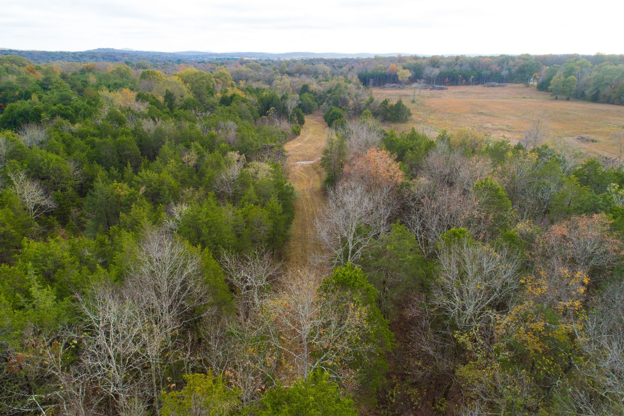 5 Chicken Road Lebanon, TN 37090 - Photo 31 of 40 Gallery Image 31
