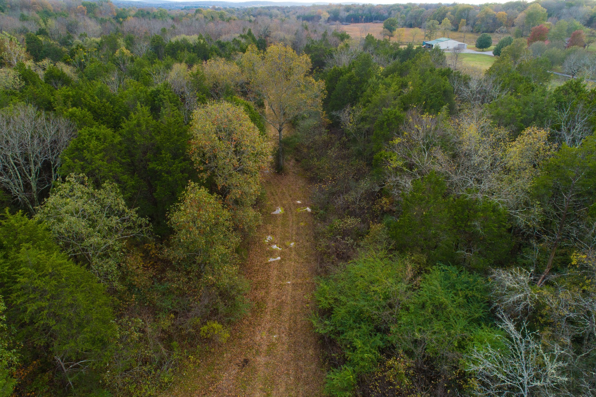 5 Chicken Road Lebanon, TN 37090 - Photo 32 of 40 Gallery Image 32