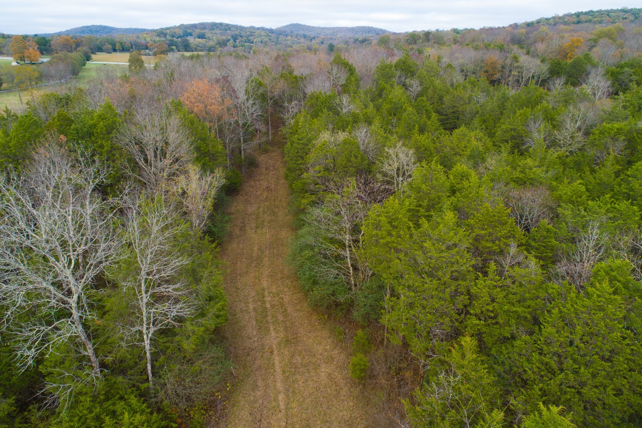 5 Chicken Road Lebanon, TN 37090 - Photo 33 of 40 Gallery Image 33