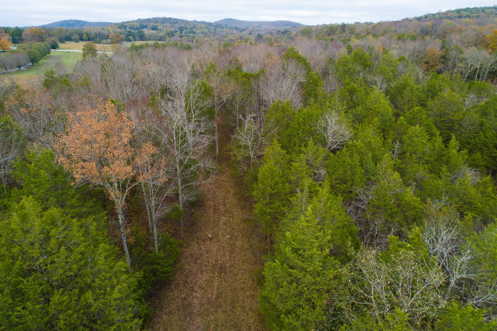 5 Chicken Road Lebanon, TN 37090 - Photo 34 of 40 Gallery Image 34