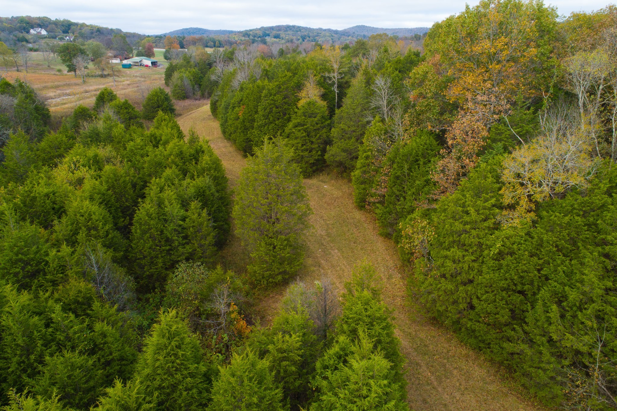 5 Chicken Road Lebanon, TN 37090 - Photo 35 of 40 Gallery Image 35