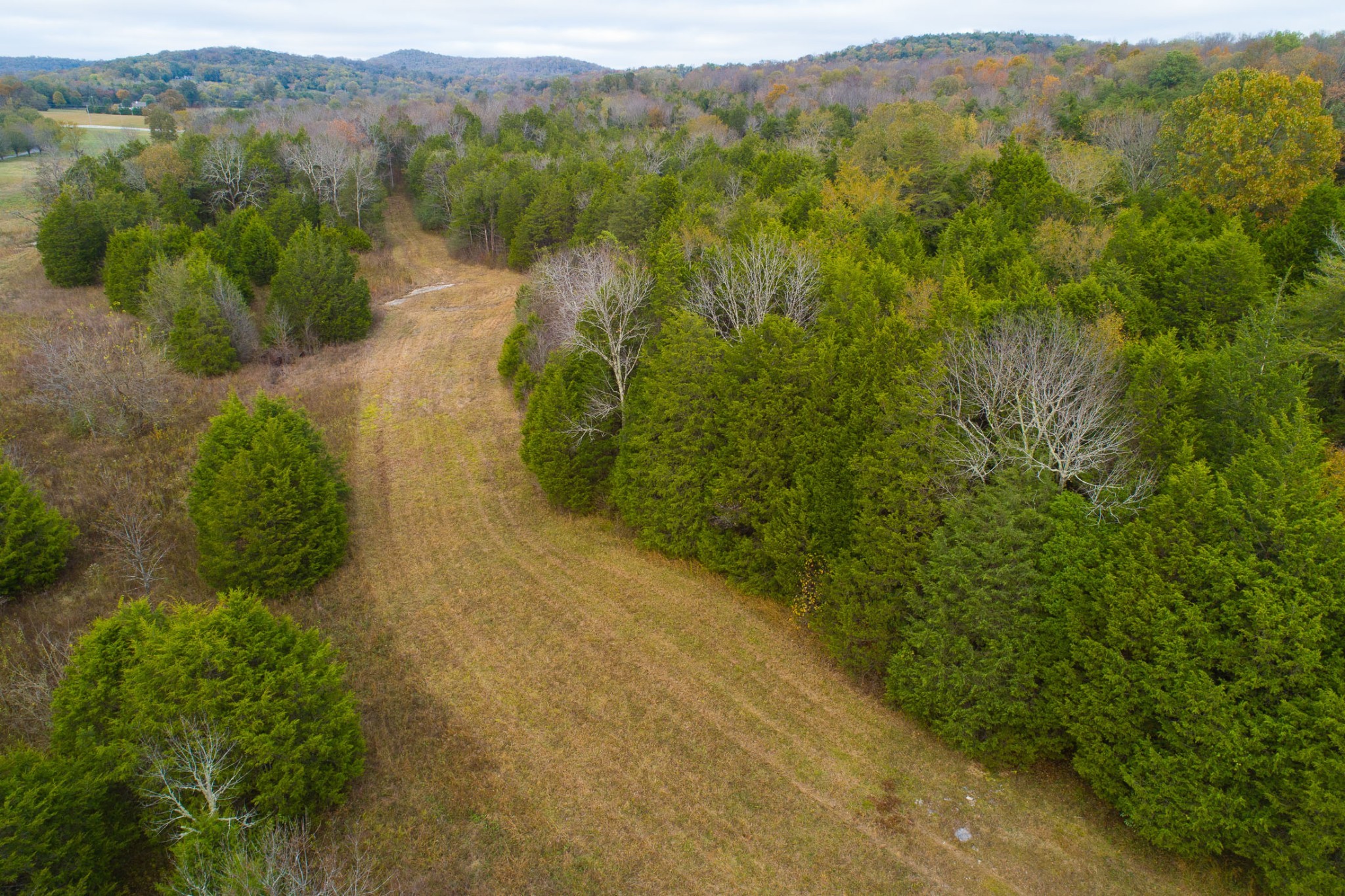 5 Chicken Road Lebanon, TN 37090 - Photo 37 of 40 Gallery Image 37