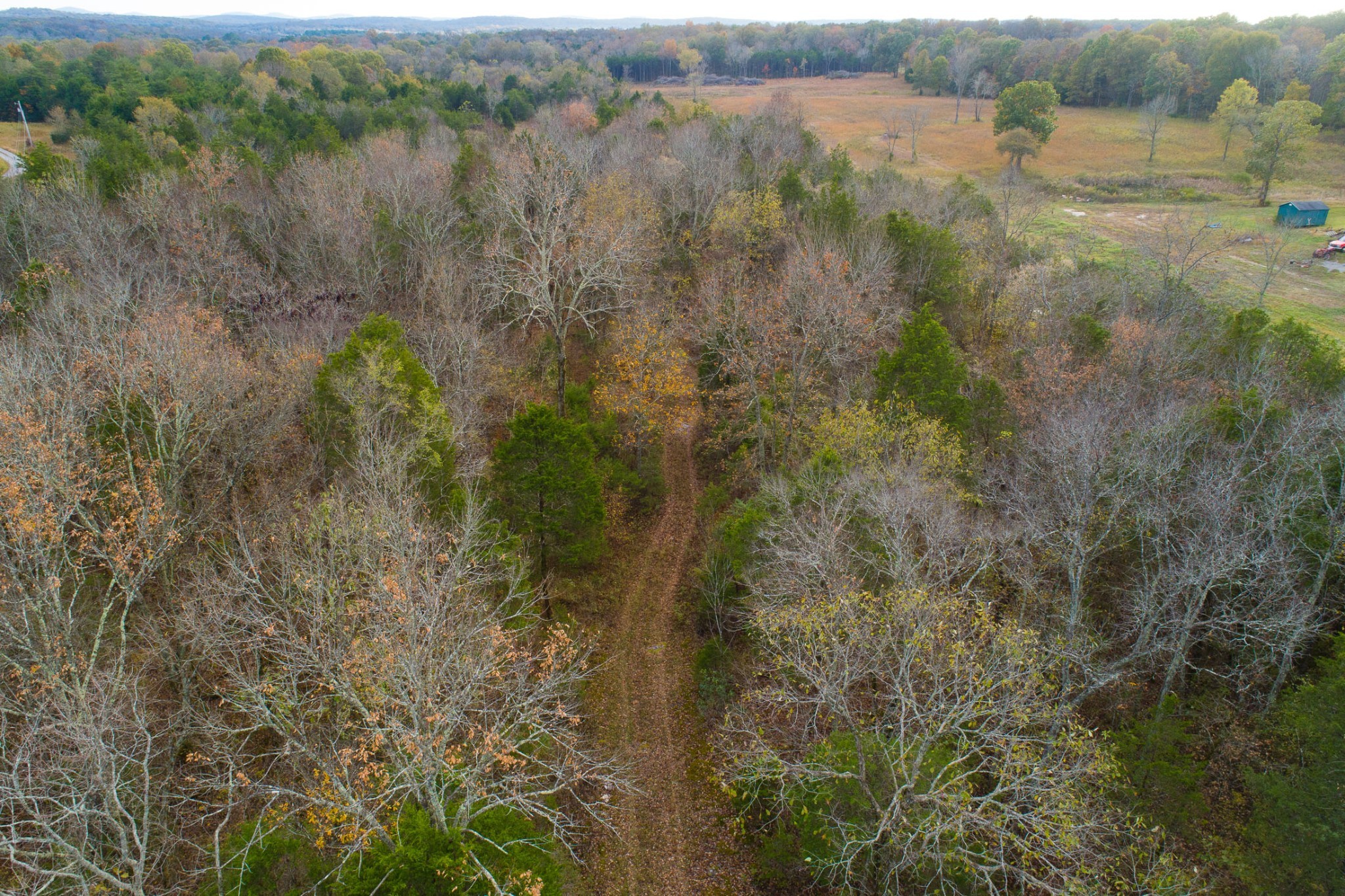 5 Chicken Road Lebanon, TN 37090 - Photo 38 of 40 Gallery Image 38