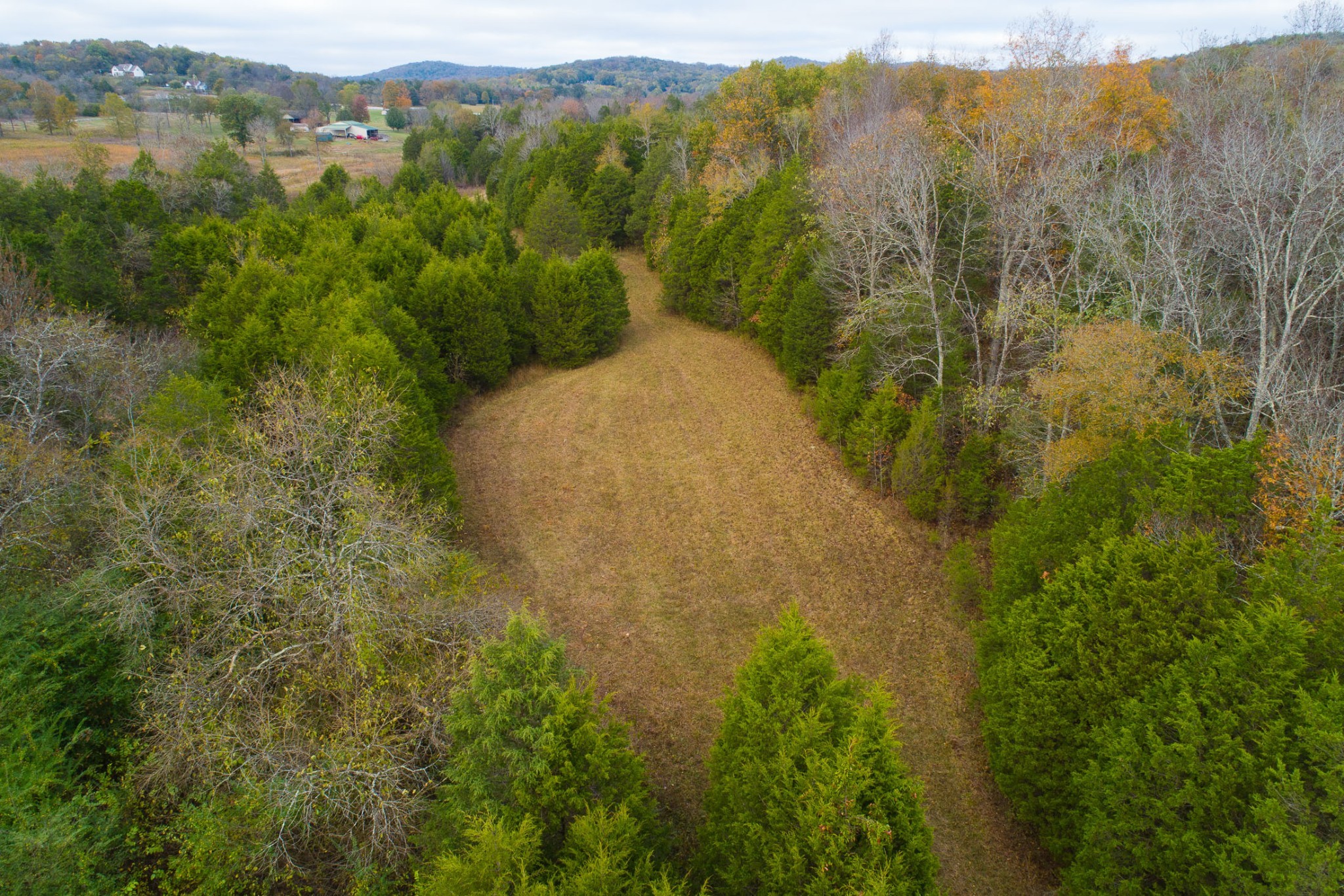 5 Chicken Road Lebanon, TN 37090 - Photo 39 of 40 Gallery Image 39