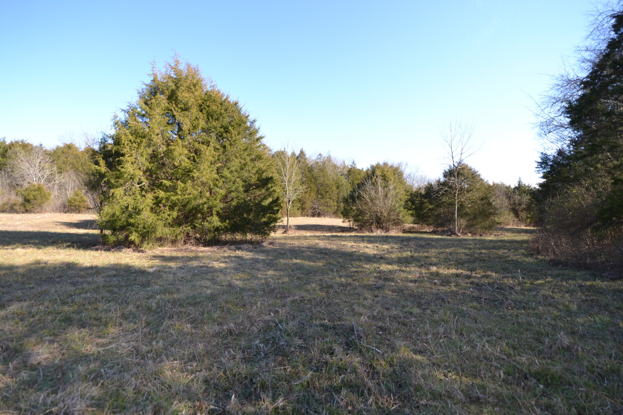 5 Chicken Road Lebanon, TN 37090 - Photo 5 of 40 Gallery Image 5