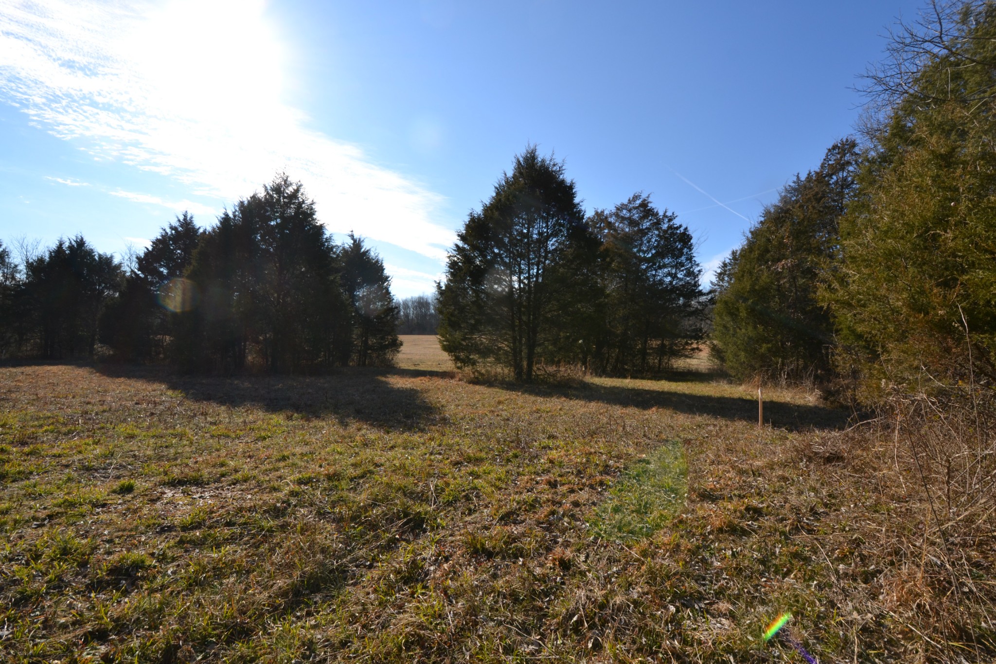 5 Chicken Road Lebanon, TN 37090 - Photo 6 of 40 Gallery Image 6
