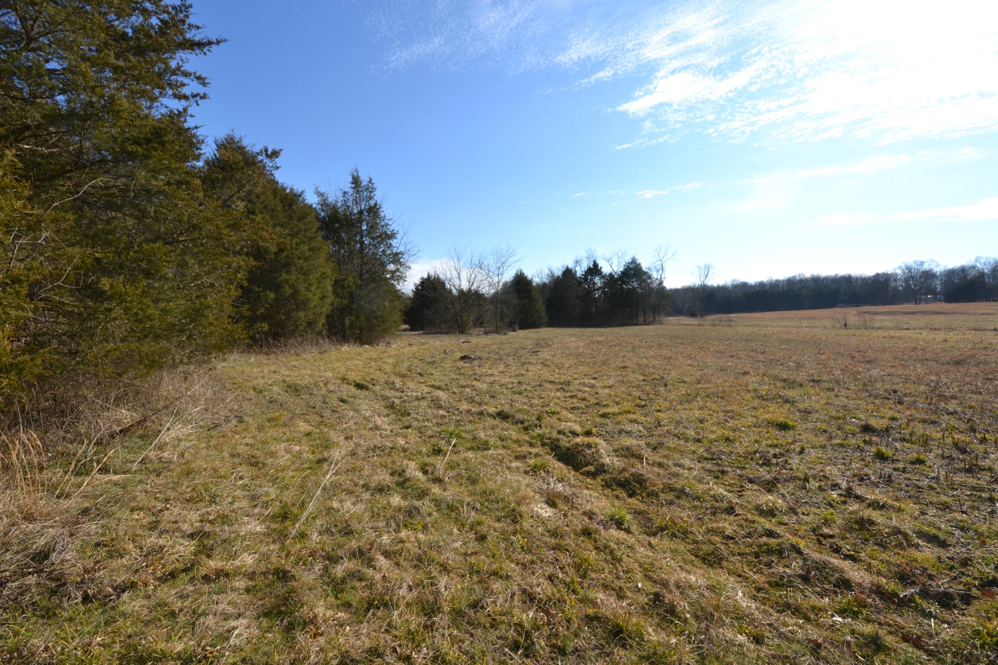 5 Chicken Road Lebanon, TN 37090 - Photo 7 of 40 Gallery Image 7