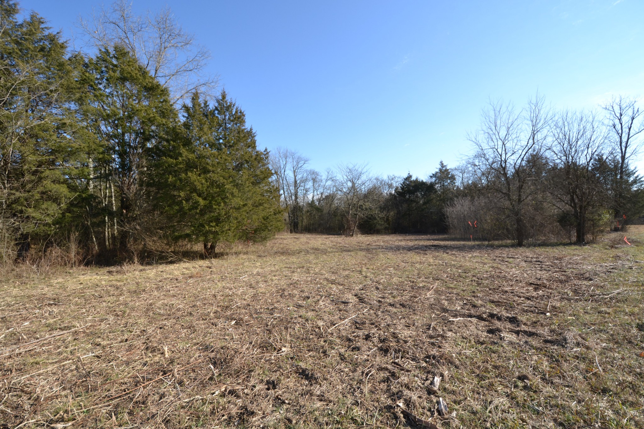 5 Chicken Road Lebanon, TN 37090 - Photo 8 of 40 Gallery Image 8