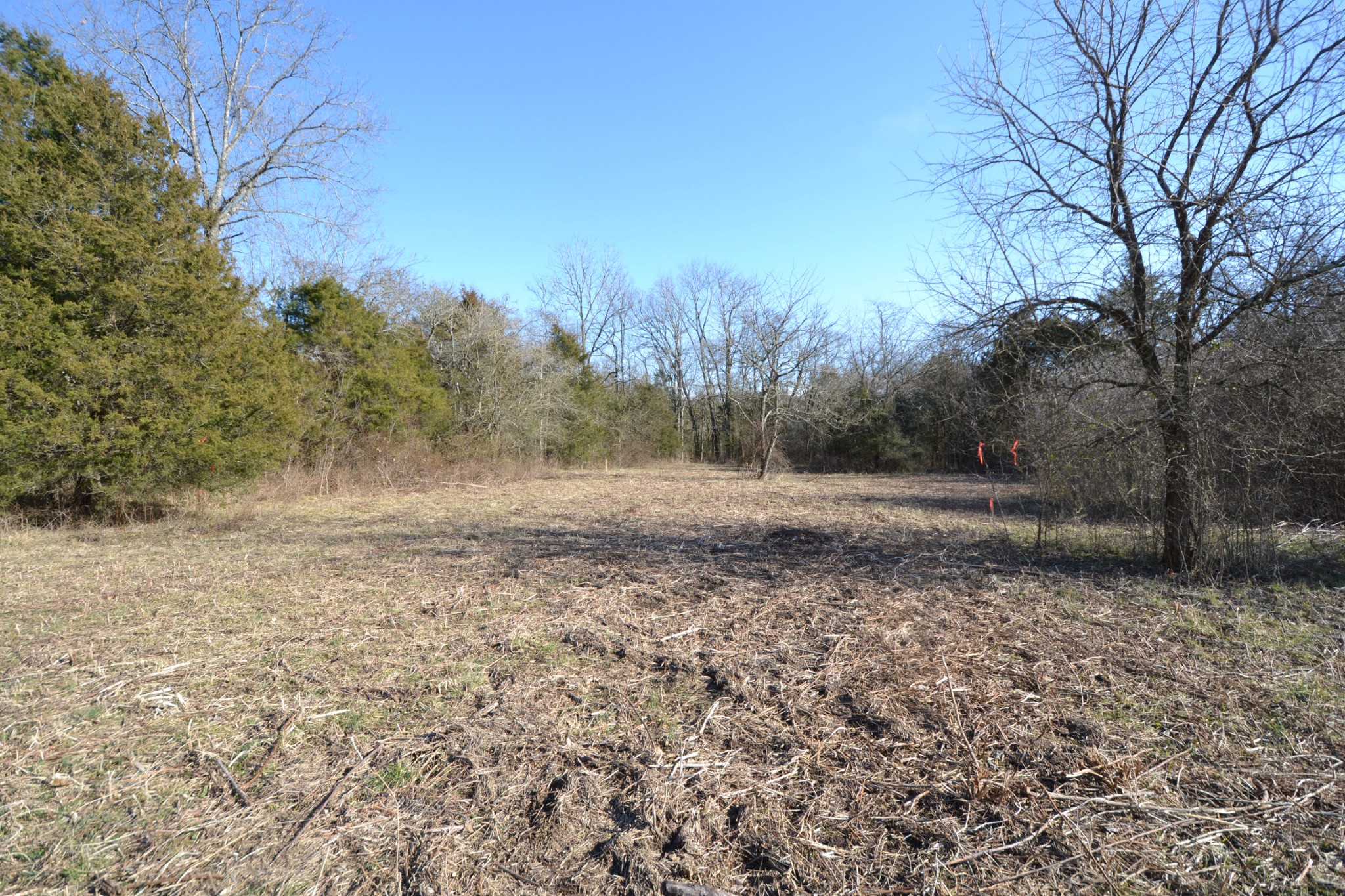 5 Chicken Road Lebanon, TN 37090 - Photo 9 of 40 Gallery Image 9