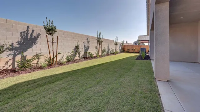 a view of a back yard of the house