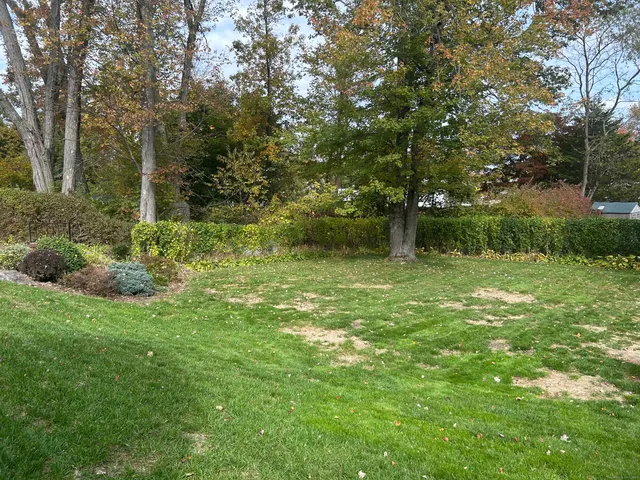 a backyard of a house with lots of green space