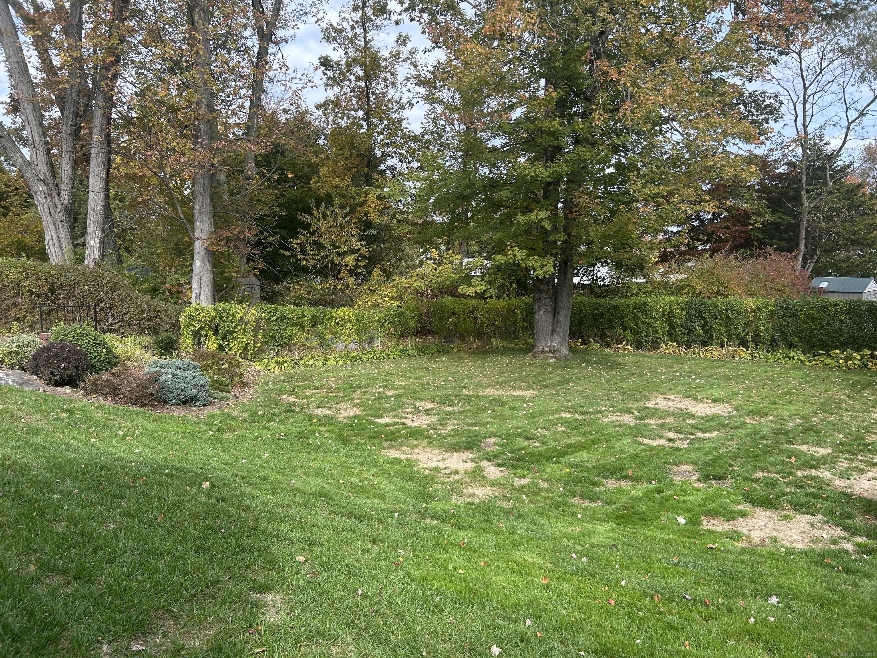 49 Damson Lane Naugatuck, CT 06770 - Photo 22 of 23