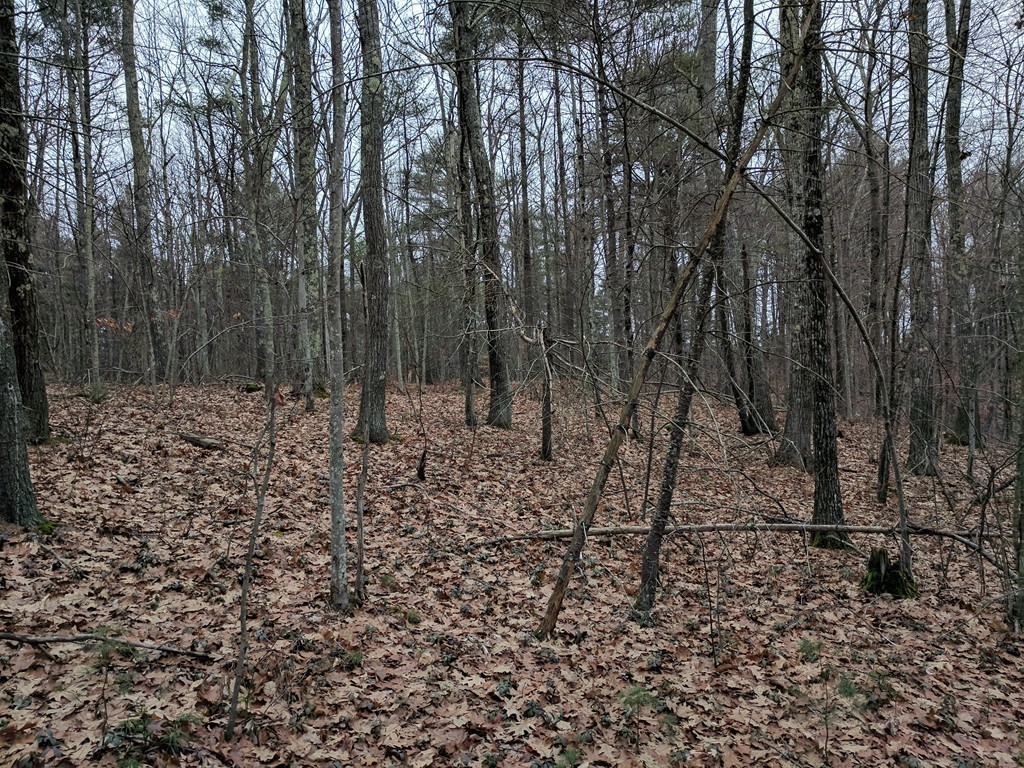 0 Gates Road Princeton, MA 01541 - Photo 5 of 10