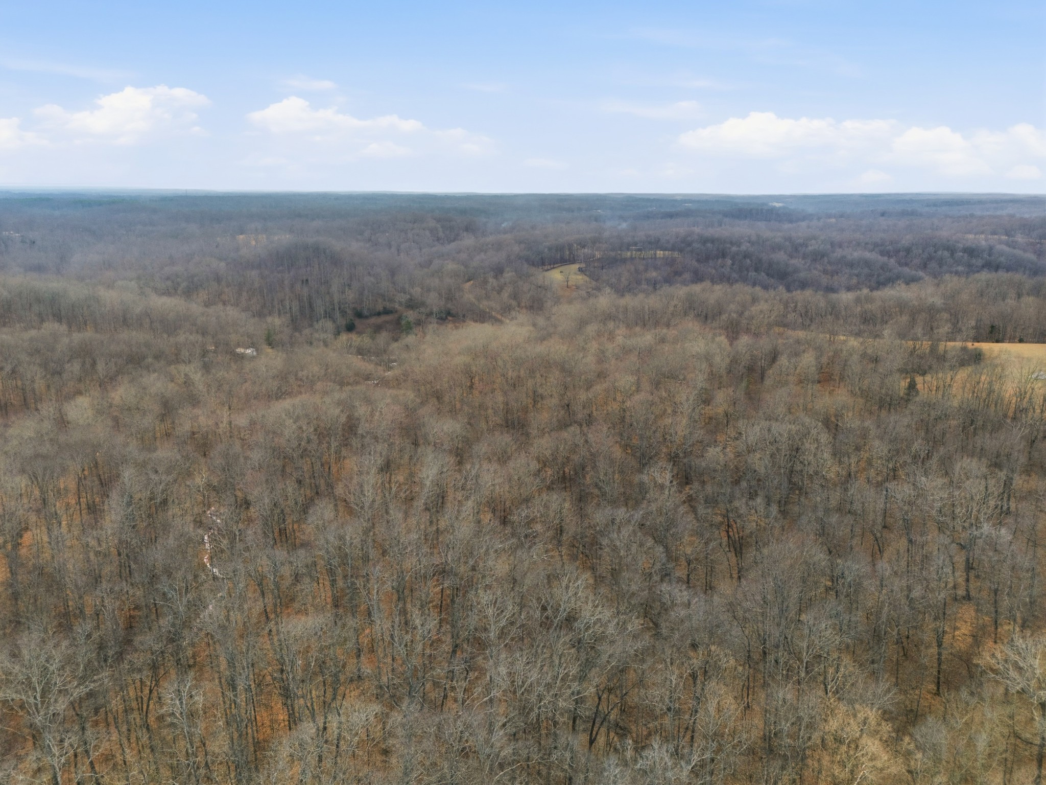 3972 Skelley Road Santa Fe, TN 38482 - Photo 13 of 47 a view of city with green space
