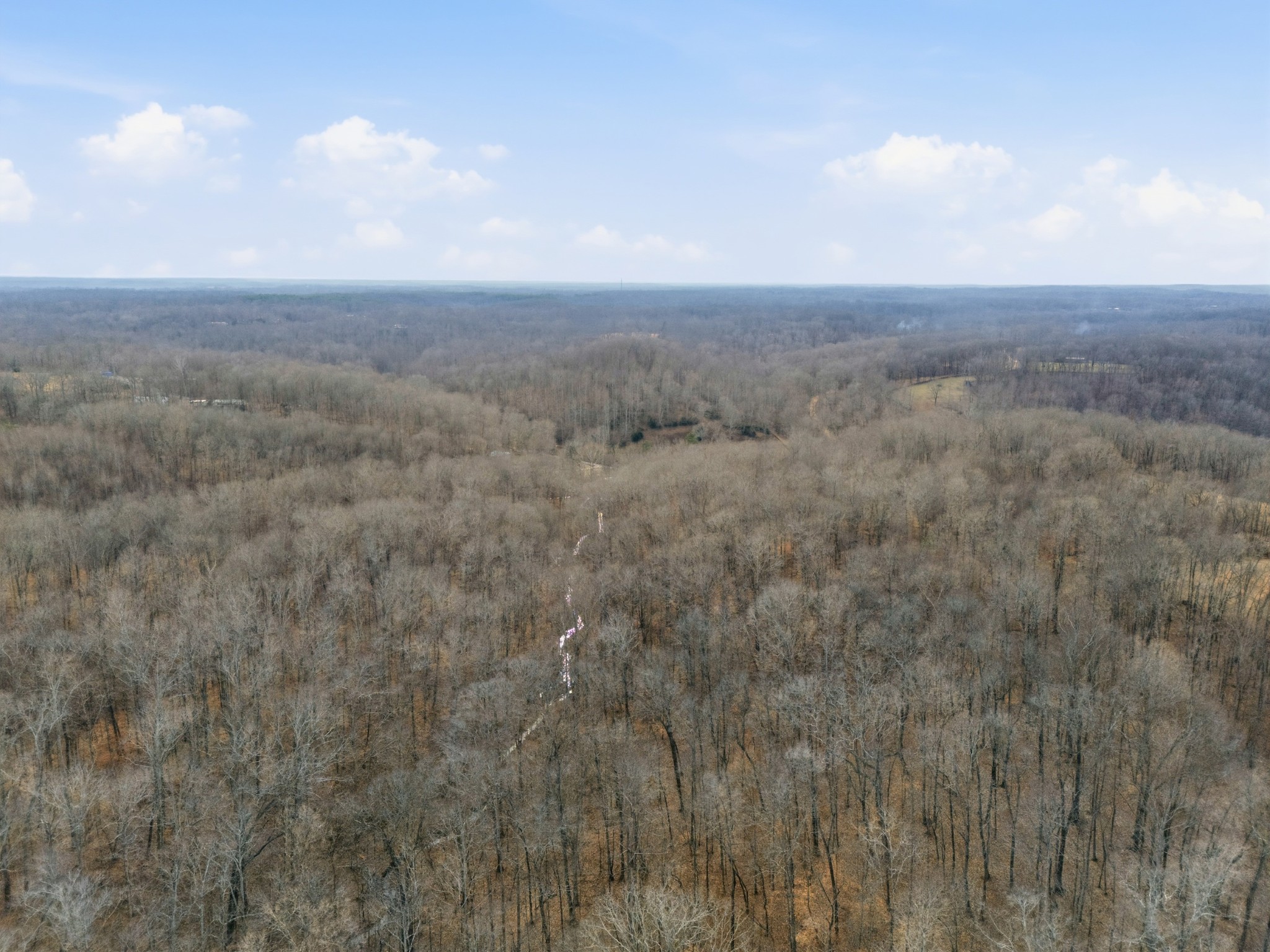 3972 Skelley Road Santa Fe, TN 38482 - Photo 14 of 47 a view of a big yard with lots of bushes