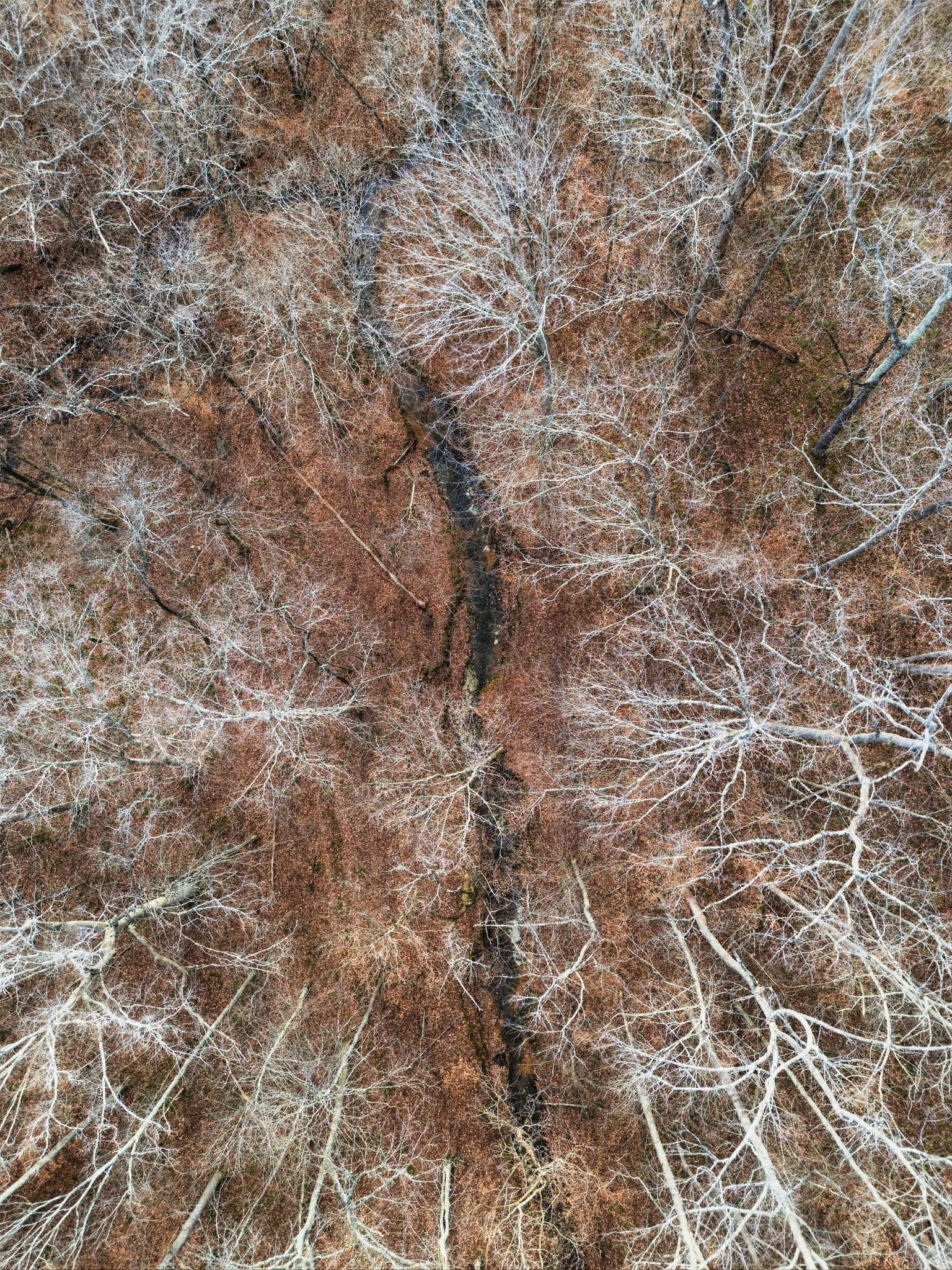 3972 Skelley Road Santa Fe, TN 38482 - Photo 16 of 47 a close up of a white marble wall