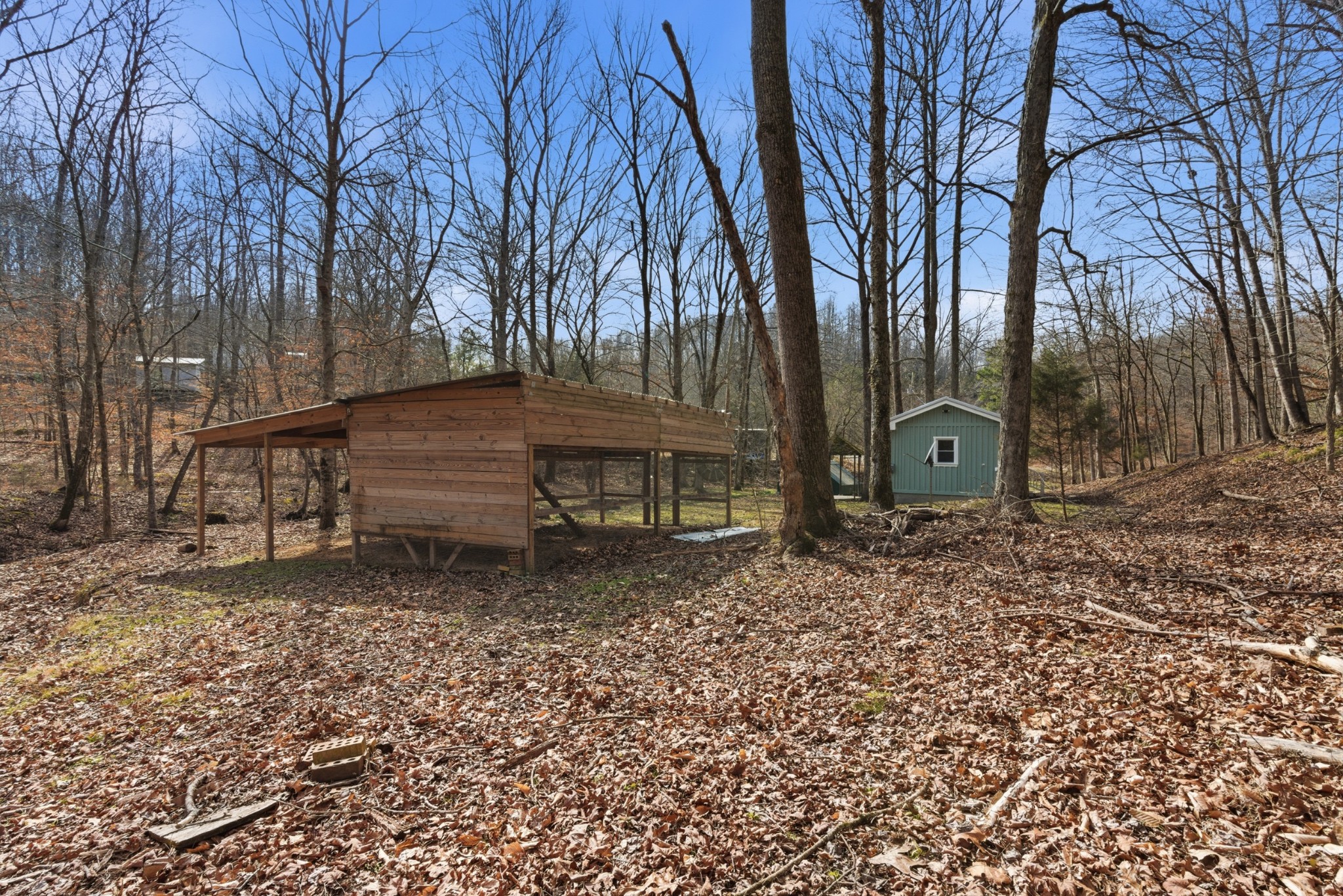 3972 Skelley Road Santa Fe, TN 38482 - Photo 36 of 47 a backyard of a house with trees and outdoor space