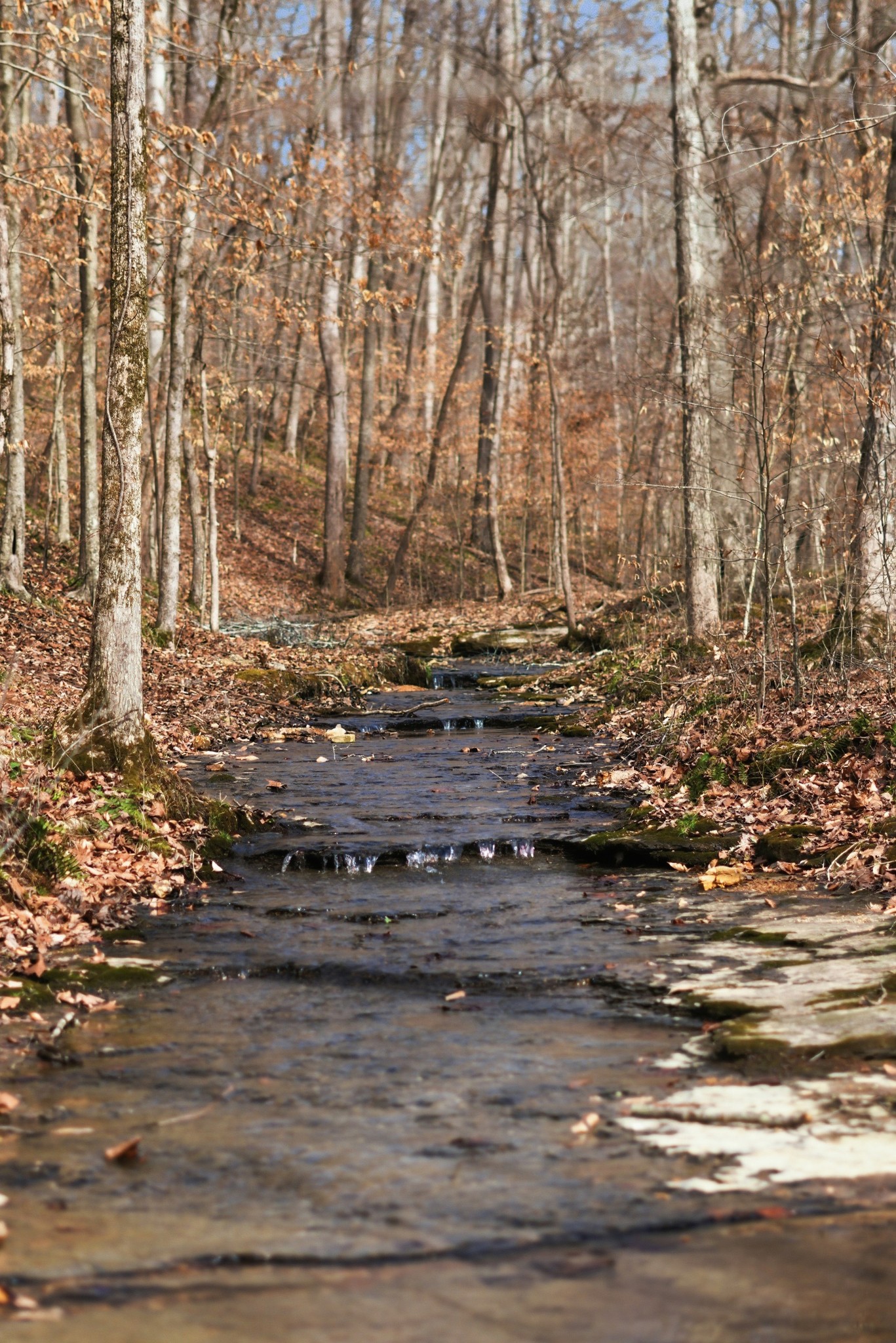 3972 Skelley Road Santa Fe, TN 38482 - Photo 38 of 47 a view of a water fountain