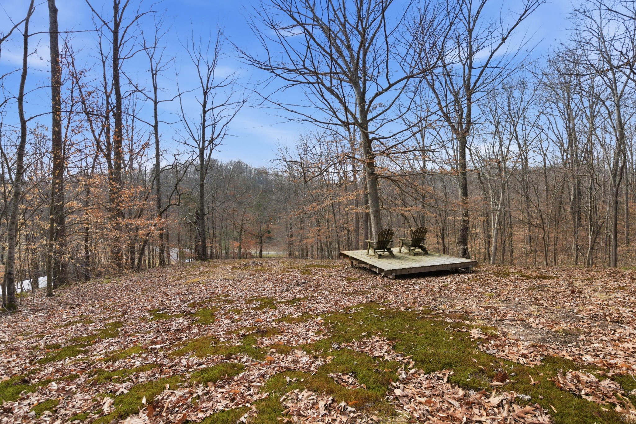 3972 Skelley Road Santa Fe, TN 38482 - Photo 40 of 47 a view of a backyard with large trees