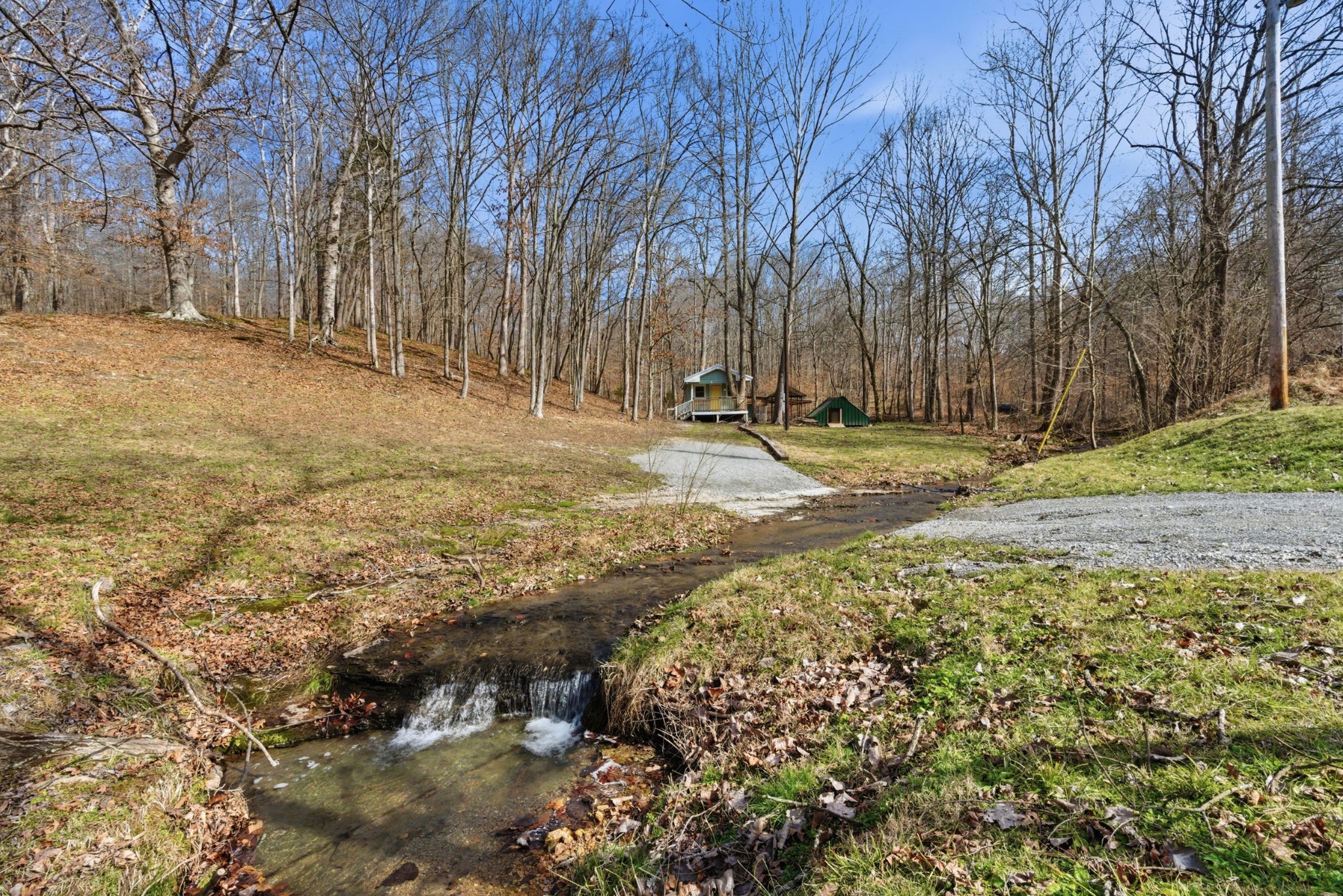 3972 Skelley Road Santa Fe, TN 38482 - Photo 4 of 47 a view of a yard with trees