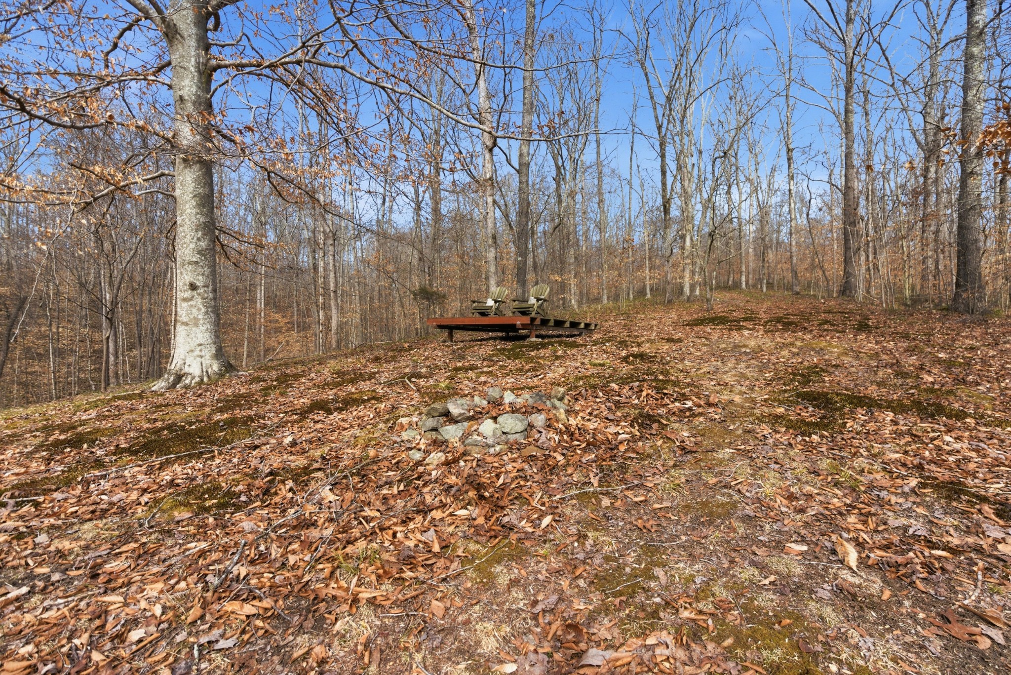 3972 Skelley Road Santa Fe, TN 38482 - Photo 43 of 47 a backyard of a house with lots of green space