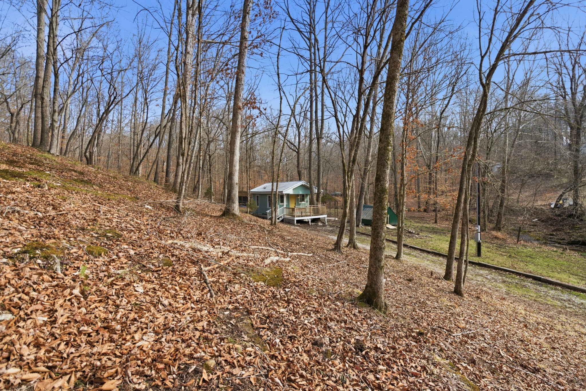 3972 Skelley Road Santa Fe, TN 38482 - Photo 44 of 47 a view of outdoor space with deck and trees