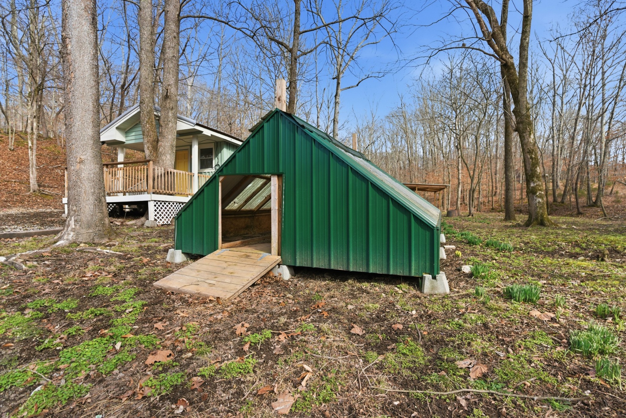 3972 Skelley Road Santa Fe, TN 38482 - Photo 45 of 47 a view of a backyard