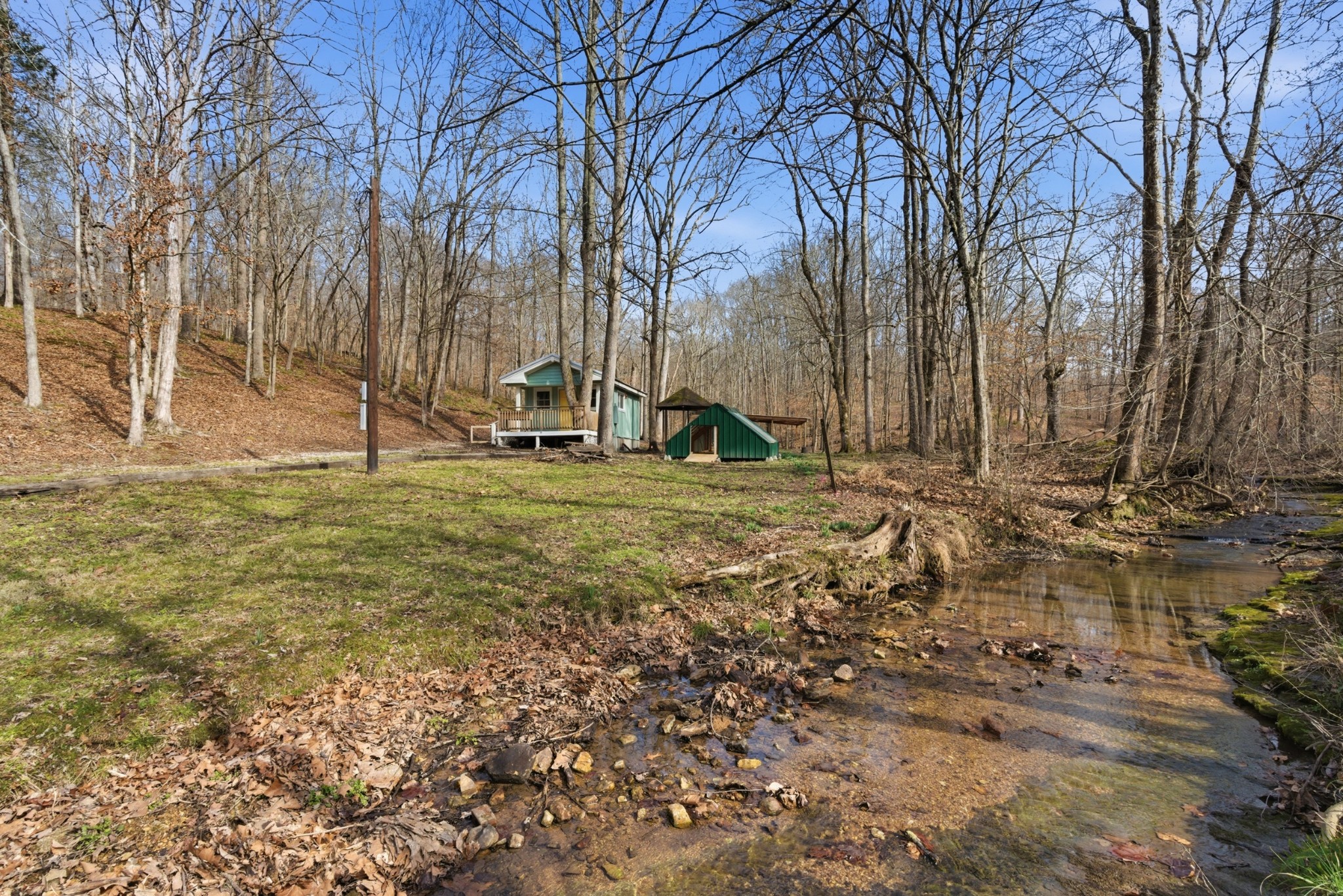 3972 Skelley Road Santa Fe, TN 38482 - Photo 5 of 47 a view of a park with large trees