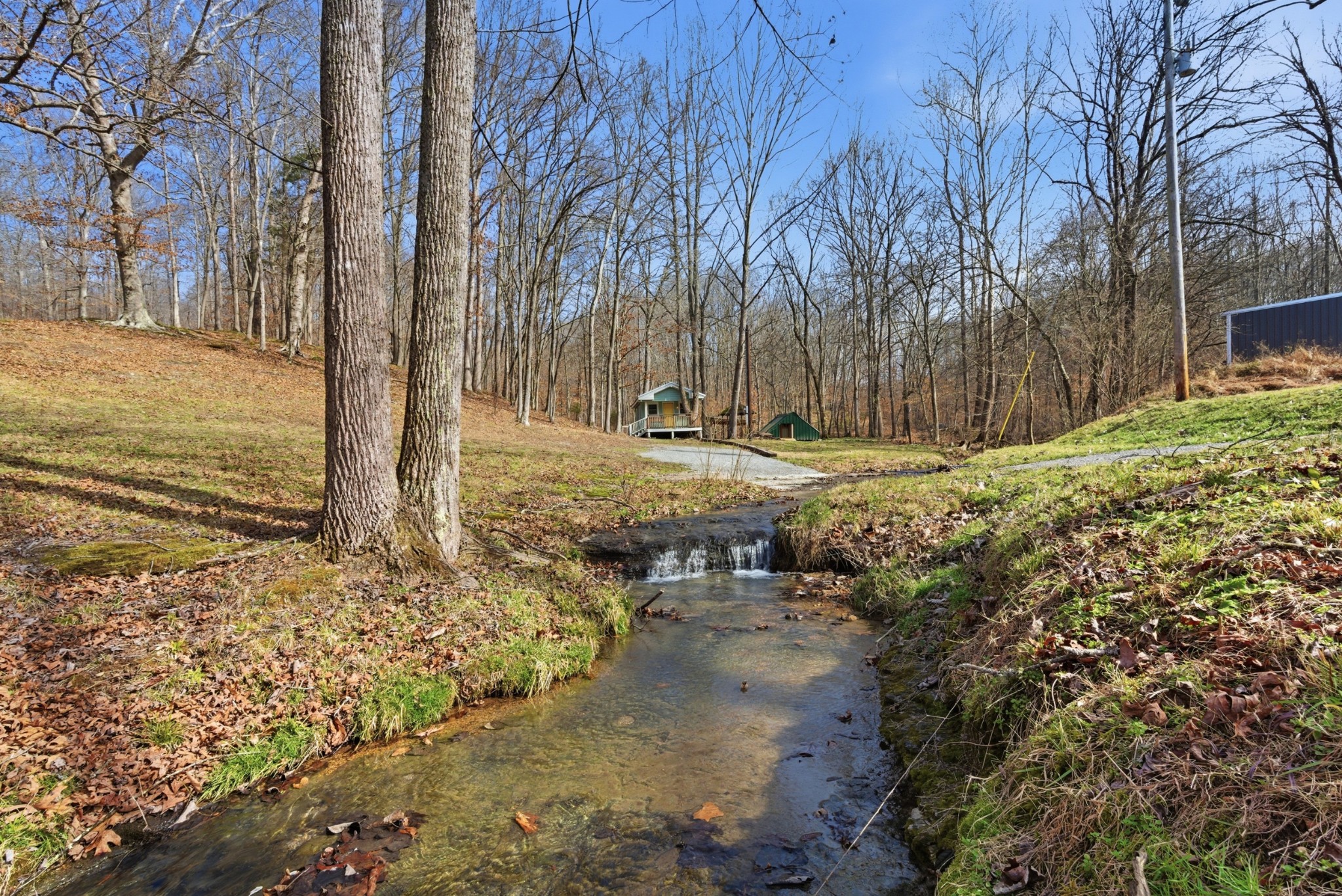 3972 Skelley Road Santa Fe, TN 38482 - Photo 6 of 47 a view of a yard with large trees