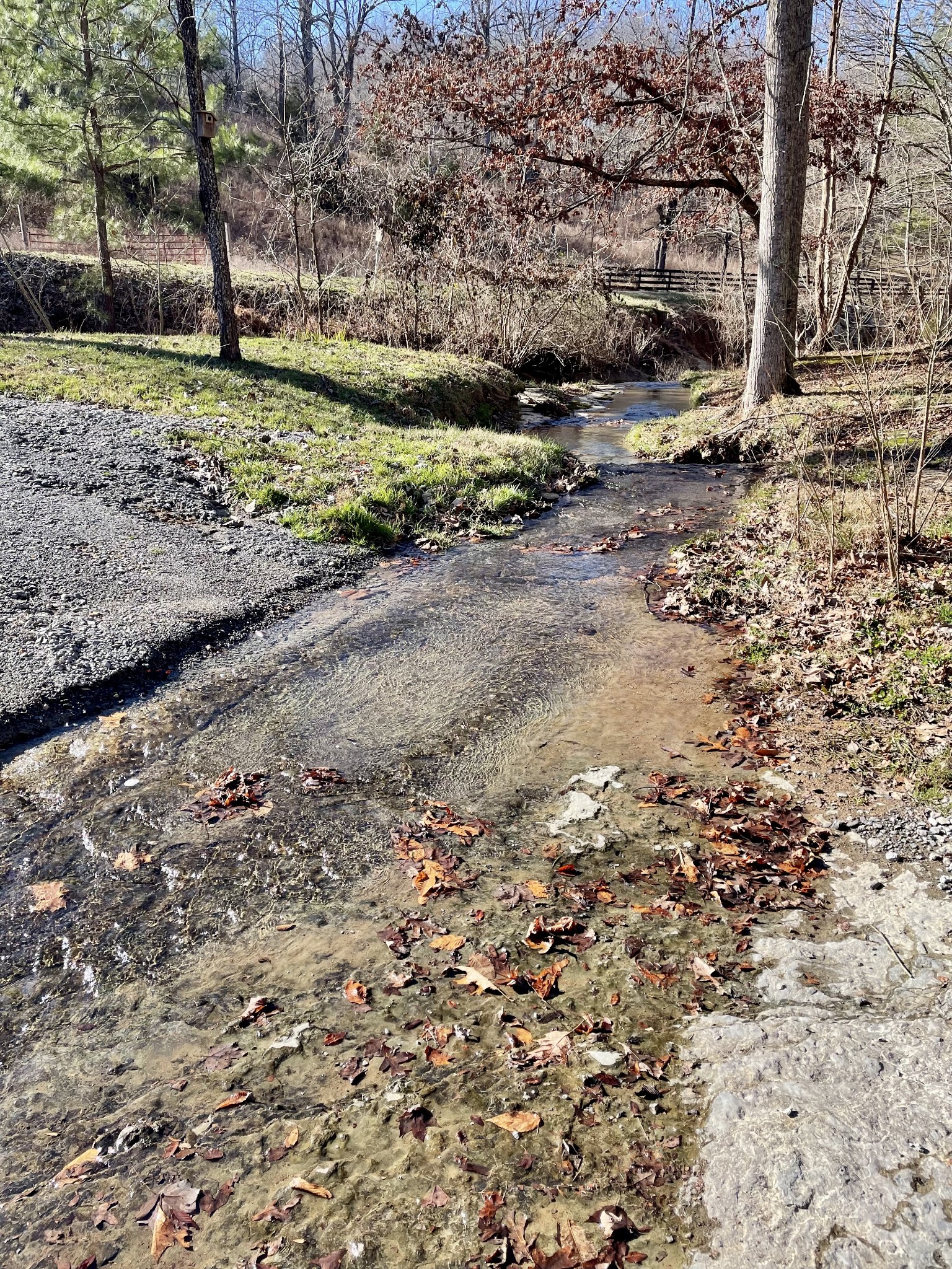 3972 Skelley Road Santa Fe, TN 38482 - Photo 8 of 15