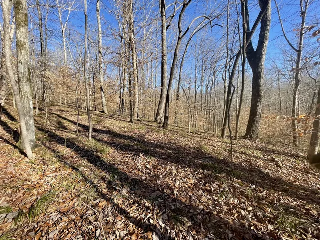 $249,500 | 3972 Skelley Road, Santa Fe, TN 38482