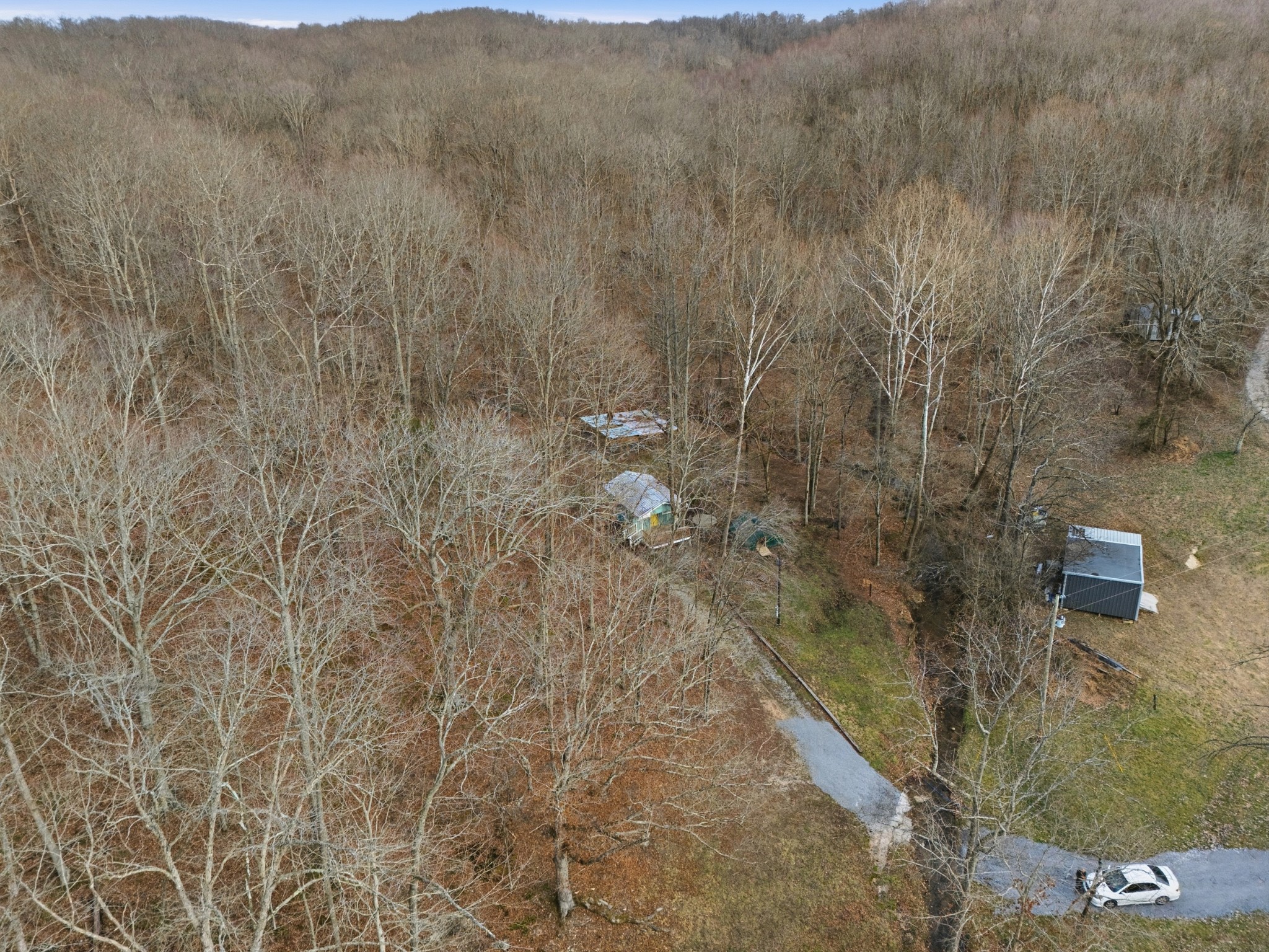 3972 Skelley Road Santa Fe, TN 38482 - Photo 9 of 47 a view of a dry yard