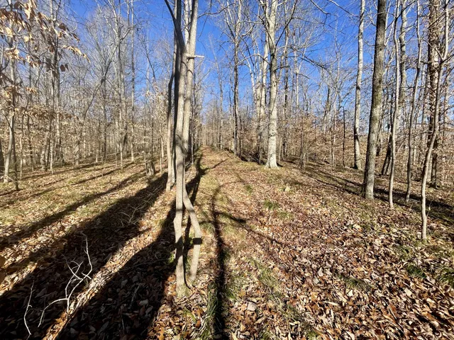 $249,500 | 3972 Skelley Road, Santa Fe, TN 38482