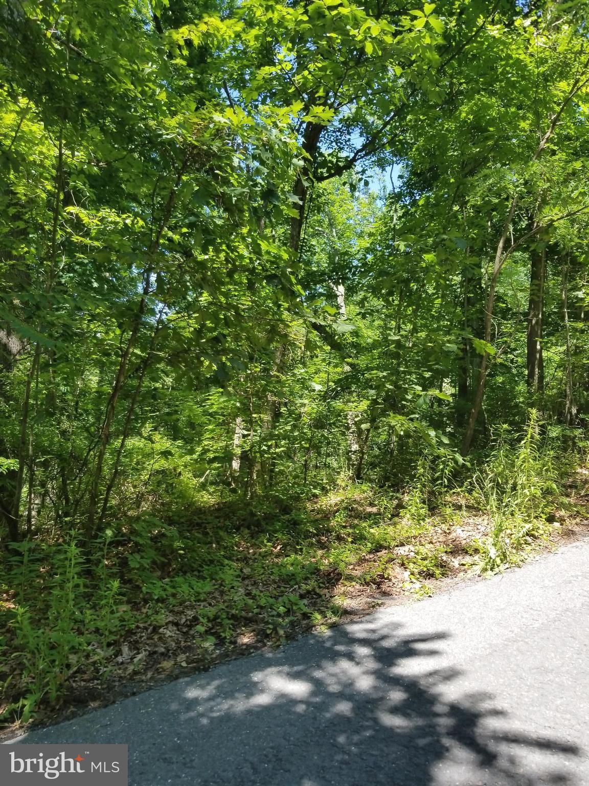 Fleming Park Rd Mount Mount Jackson, VA 22842 - Photo 3 of 13 View
