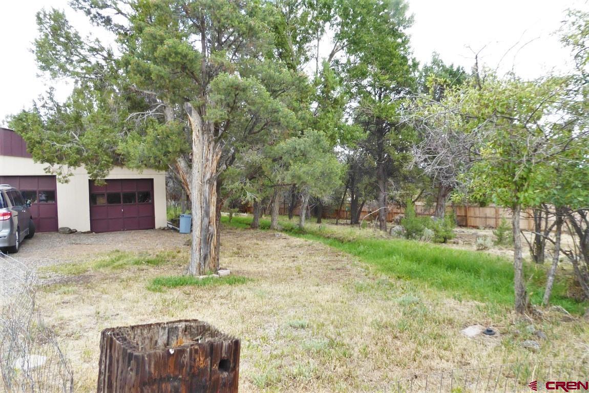19546 Surface Creek Road Cedaredge, CO 81413 - Photo 21 of 35 Gallery Image 21