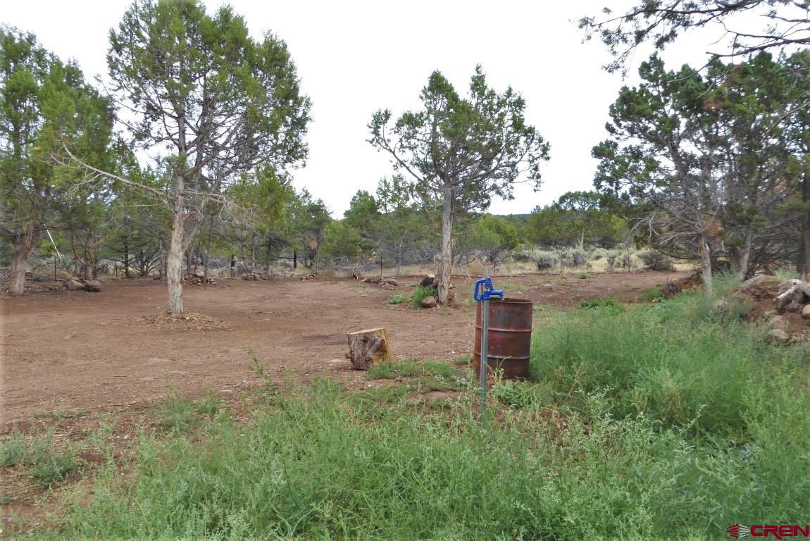 19546 Surface Creek Road Cedaredge, CO 81413 - Photo 31 of 35 Gallery Image 31