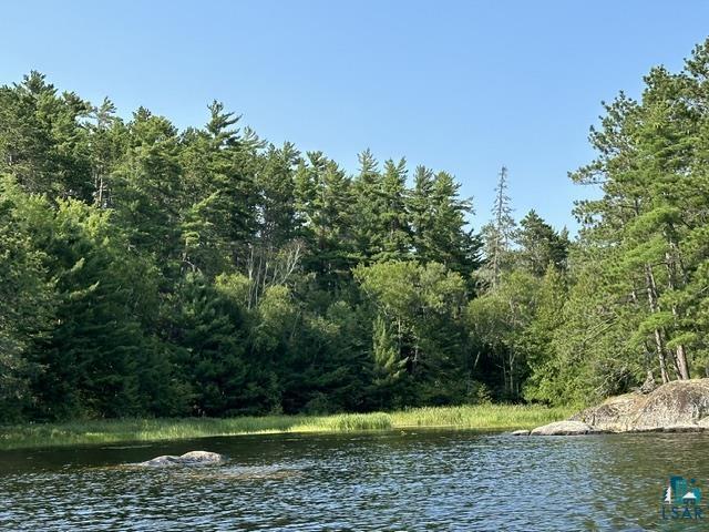 2763 Van Vac Road Ely, MN 55731 - Photo 30 of 37 Waterfront setting featuring a dense evergreen forest, natural rock formations, and a clear expanse of water