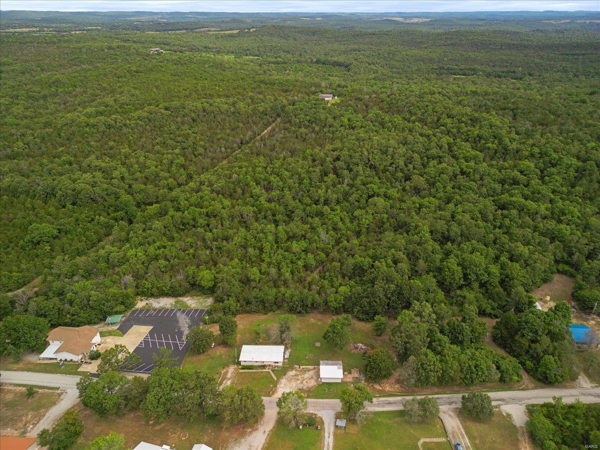 214 Clarkson Road Protem, MO 65733 - Photo 8 of 39