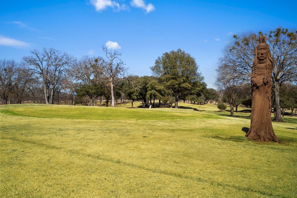 0 Co Road Kemp, TX 75143 - Photo 20 of 40 a view of a yard with palm trees