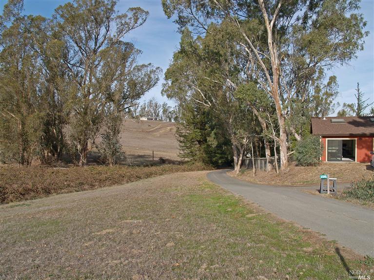 a backyard of a house with yard and trees