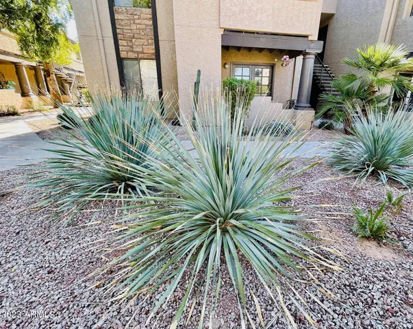 $3,500 | 5995 North 78th Street, Unit 101, Scottsdale, AZ 85250