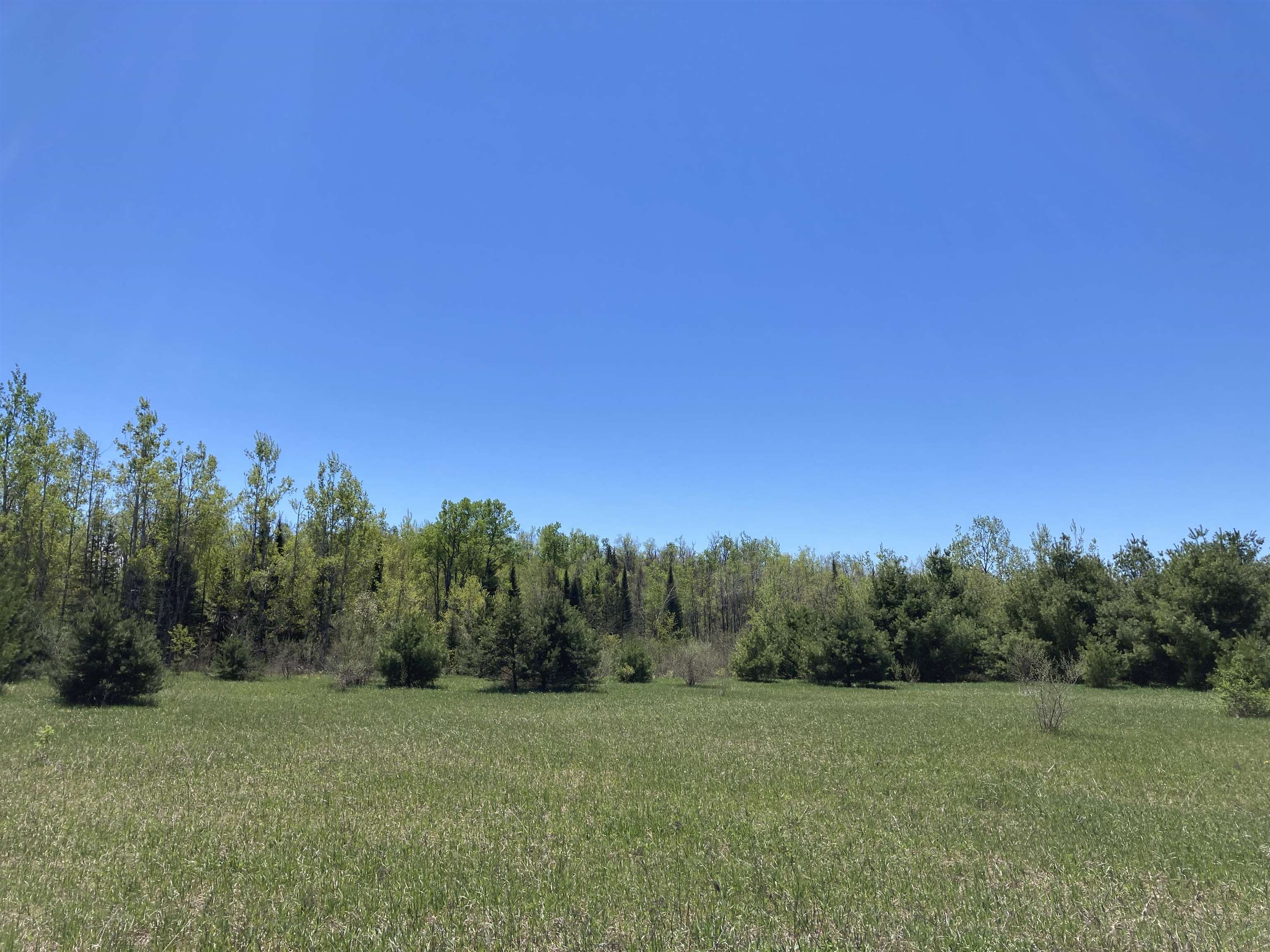 0 West Miller Road Mio, MI 48647 - Photo 11 of 23